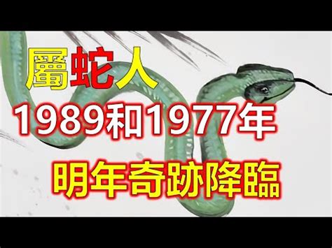 1989五行|1989年的五行是属什么的